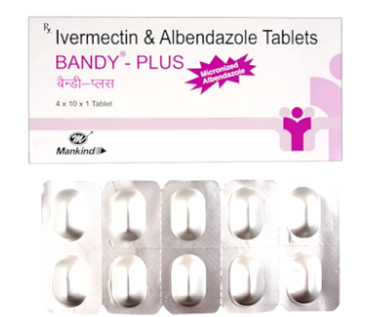 이버멕틴 + 알벤다졸 Bandy-Plus Tab