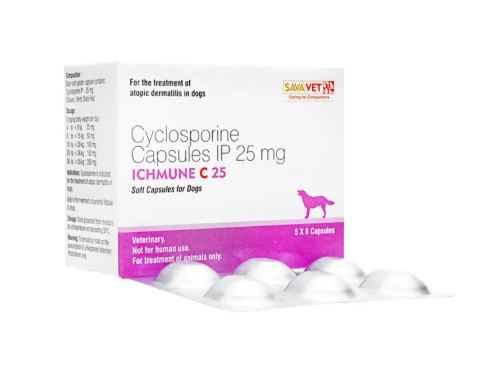 아토가드 사이클로스포린 Ichmune C 25mg 60정