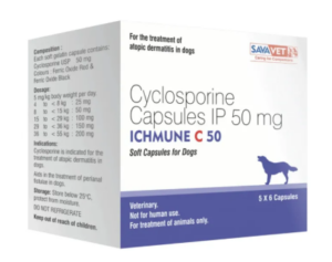 아토가드 사이클로스포린 Ichmune C 50mg 60정